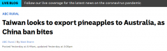 呦，中国不买台湾菠萝，他们打算卖到澳洲来了