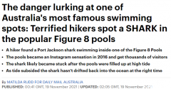 注意！悉尼著名景点惊现鲨鱼，网友提醒“下水