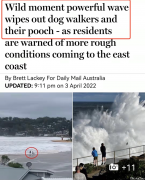 悉尼人海边遛狗，下一秒连人带狗消失不见！一