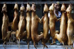 中国新年:我是怎样吃了第一块狗肉的并且差异如