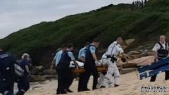 悉尼发生”离岸20米“大白鲨攻击事件