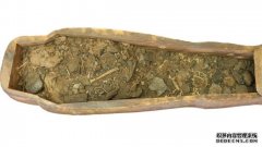 悉尼大学博物馆的棺材里发现埃及木乃伊