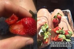 昆州又发现草莓藏针，又一个品牌从超市下架