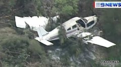 Bankstown机场附近发生飞机坠落事故 机长大难不死