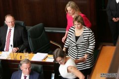 工党和绿党推选自由党议员Sue Hickey当塔州新议长
