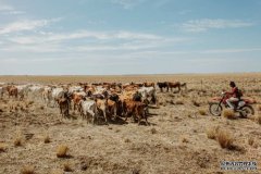 农民面对的干旱使澳洲的对外援助预算遭受质疑