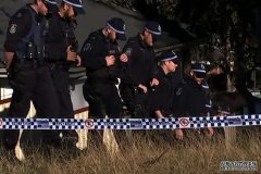 悉尼Lurnea公园命案：34岁男子被控谋杀