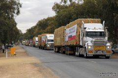 西澳捐赠的草料抵达新州，农民落泪