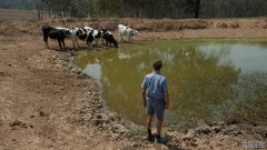 新州政府将卖水给农民们