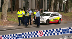 悉尼内西区一名司机在撞死行人后，逃逸现场