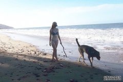 遛狗女士海滩被害案：警方采集当地居民DNA