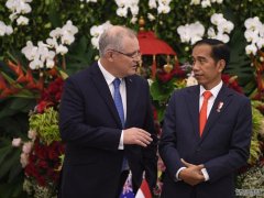 澳洲和印尼的FTA被证实暂停谈判