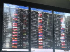 强风导致悉尼机场航班出现大幅延误