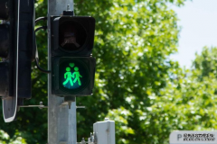 为了推广堪培拉多样化 街头安装了同性交通灯