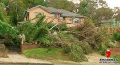人们悼念在周三悉尼暴雨中死去的SES志愿者和青