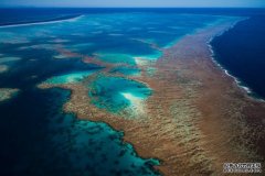 审计没有发现前特恩布尔政府拨款给大堡礁有违