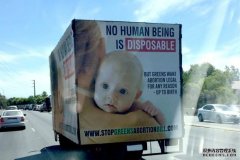 反堕胎宣传被南澳选举委员会喊停