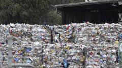 中国出台禁收垃圾政策后，澳洲垃圾业现状