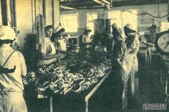 50年前香肠工厂实现同工同酬，但薪水性别差距仍