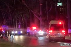 昨晚上百人在国王公园互殴，警方出动了16辆警车