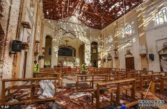 安宁参议员回应导致290人死亡的斯里兰卡恐怖袭