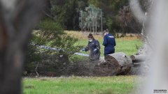 墨尔本内北Royal Park发现女尸，现场可怖
