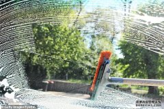 珀斯司机给了街头刷窗户的人1块5而被罚50元