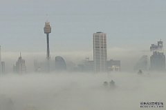 悉尼大雾，航班延误、备降