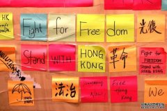 有学生要撕下塔州大学里的亲香港海报，被制止