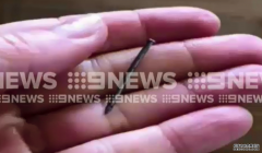 南澳女性在一盒草莓中发现钉子