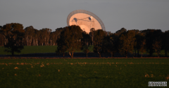 澳洲航天局与欧洲航天局签署合作协议
