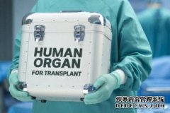 研究发现更多澳人去海外移植器官