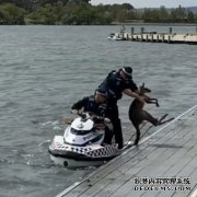 堪培拉警察把袋鼠救上岸，袋鼠转身又跳回了湖