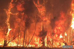 火灾地区市长抨击不把火灾和气候变化相连的政
