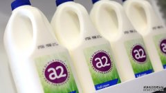 A2 牛奶公司的营销主管辞职