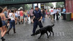 新州警察总长坚持对参加音乐狂欢节的人进行搜
