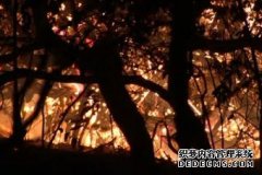 灾难性火灾天气下南澳明天111所学校关门