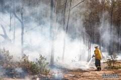林火危机使昆州和北新州损失上亿
