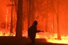 新州受林火影响地区将获得4800万澳元的援助
