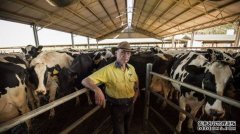 新州奶农们推动全面提高鲜奶收购价