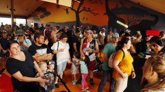 悉尼的新动物园正式开放，本周末预计会有上万