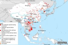 印尼爆发非洲猪瘟，人字拖什么的就不要带回国