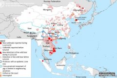 印尼爆发非洲猪瘟，人字拖什么的就不要带回国