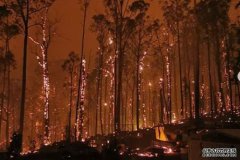 至少17人在维州林火中失踪