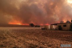 由于破坏性的森林大火席卷澳洲，预计食物价格
