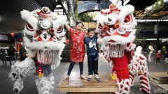 澳洲华人社区呼吁从中国回澳同胞要自我隔离