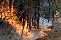ACT处于紧急状态，丛林大火威胁房屋，火势向新