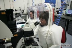 墨尔本培育的冠状病毒已移交CSIRO高安保实验室