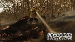 林火受害者将成为联邦议会复会第一周的焦点