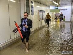 悉尼今晨遭遇狂风暴雨，交通大面积延误多架航
